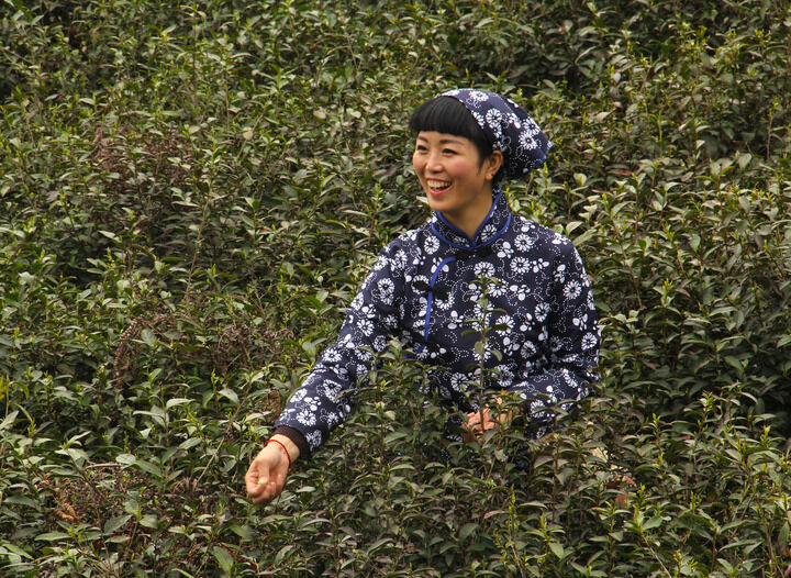 推荐7